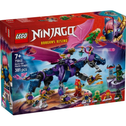 Конструктор LEGO Ninjago Мастер Драконов 71842