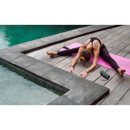 Беспроводная колонка JBL Flip Essential 2