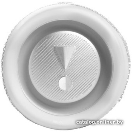 Беспроводная колонка JBL Flip 6 (белый)