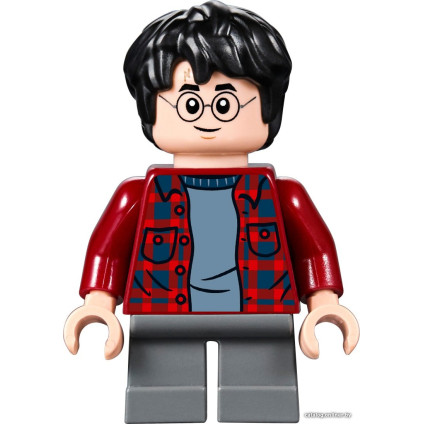 Конструктор LEGO Harry Potter 75953 Гремучая ива