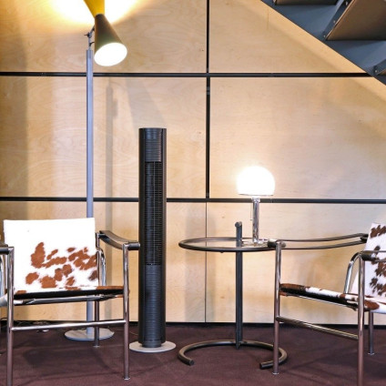 Колонный вентилятор Stadler Form Peter 2 (черный)