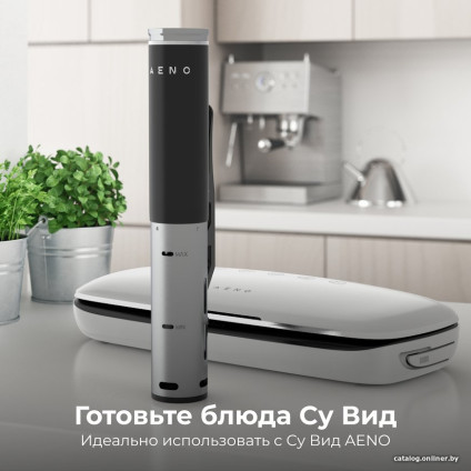 Вакуумный упаковщик AENO VS2