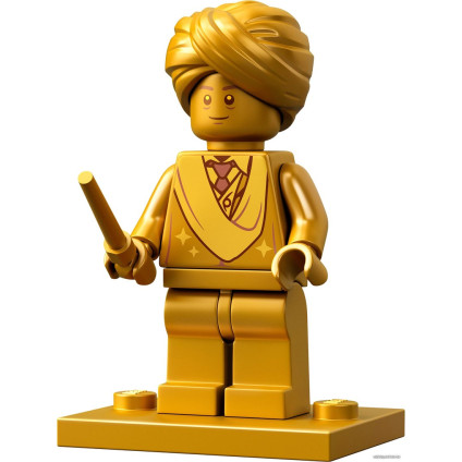 Конструктор LEGO Harry Potter 76395 Хогвартс: первый урок полетов