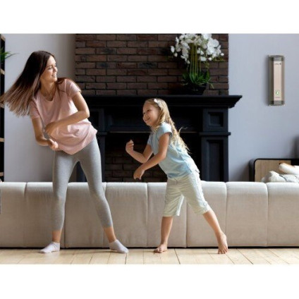 Озонатор Webber PSJG-60A