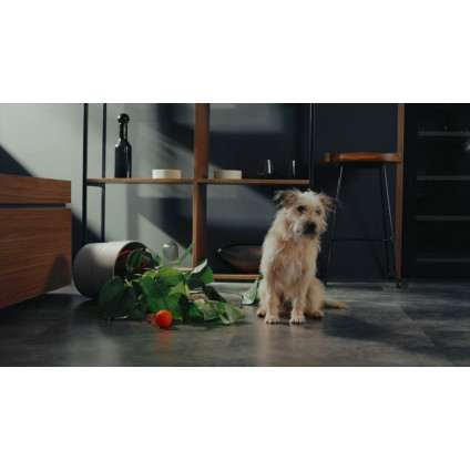 Пылесос Hisense HFC743169BKA