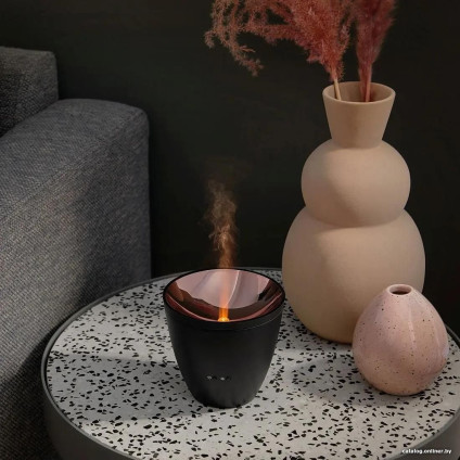 Увлажнитель воздуха Stadler Form Zoe (черный)