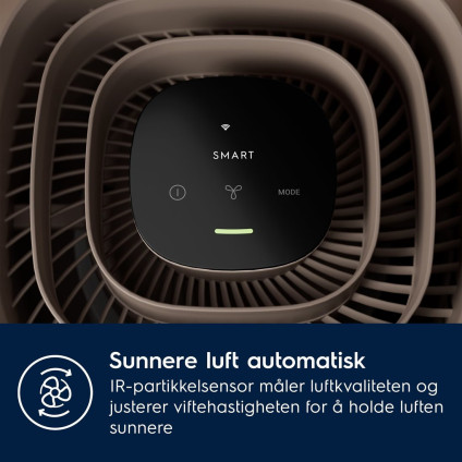 Очиститель воздуха Electrolux EPO50351BG