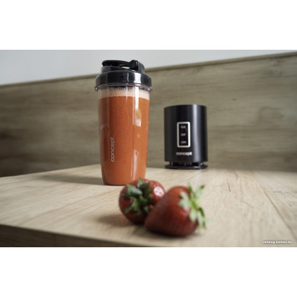 Стационарный блендер Concept SM1500