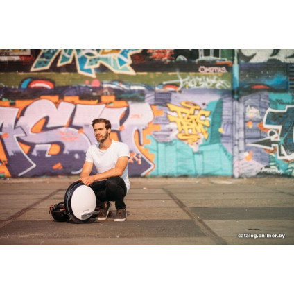 Электросамокат Ninebot KickScooter F20D