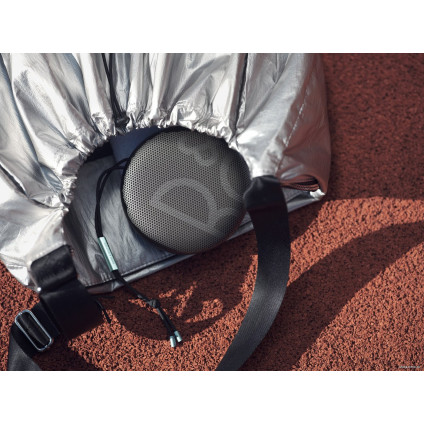 Беспроводная колонка Bang & Olufsen Beosound A1 2nd Gen (черный антрацит)