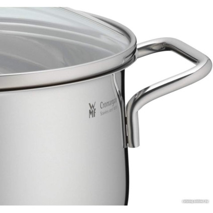 Набор кастрюль WMF Diadem Plus 0730036040