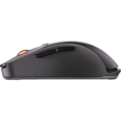 Игровая мышь Cougar Surpassion RX (черный)