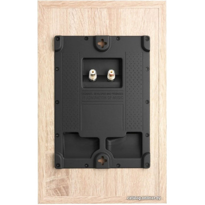 DALI Oberon On Wall Light Oak