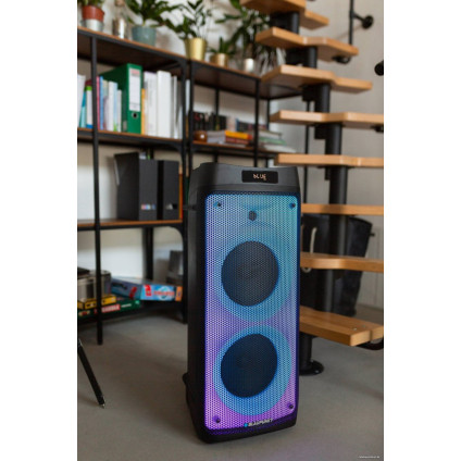 Патибокс Blaupunkt PB08DB
