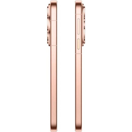 Телефон Huawei Pura 80 HED-LX9 12GB/256GB (золотой)