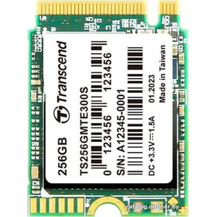 SSD Transcend 300S 256GB TS256GMTE300S