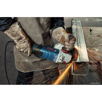 Угловая шлифмашина Bosch GWS 30-180 B Professional 06018G0000