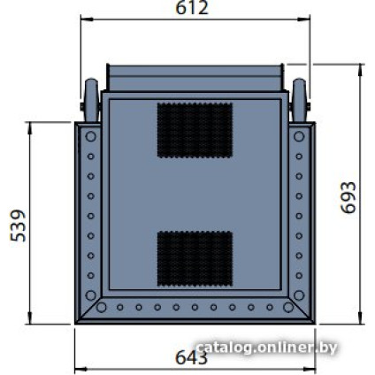 Биокамин Faber theBUZZ