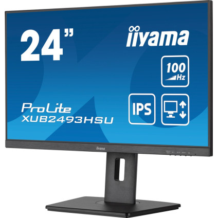 Монитор Iiyama ProLite XUB2493HSU-B7