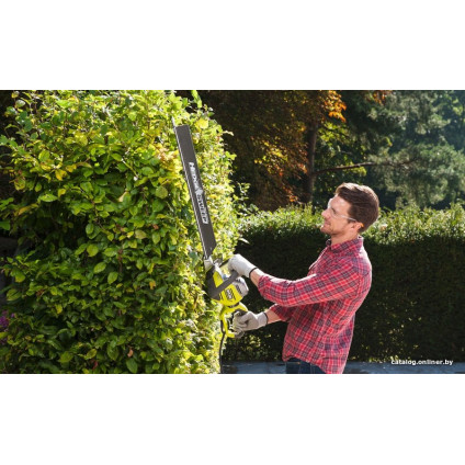 Кусторез Ryobi RHT8165RL