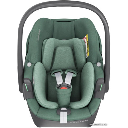 Детское автокресло Maxi-Cosi Pebble 360 (essential green)