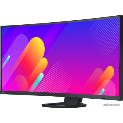 Монитор EIZO FlexScan EV3895-BK