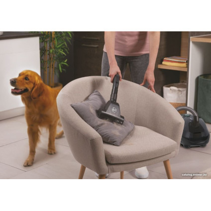 Пылесос Hoover HE321PAF 011