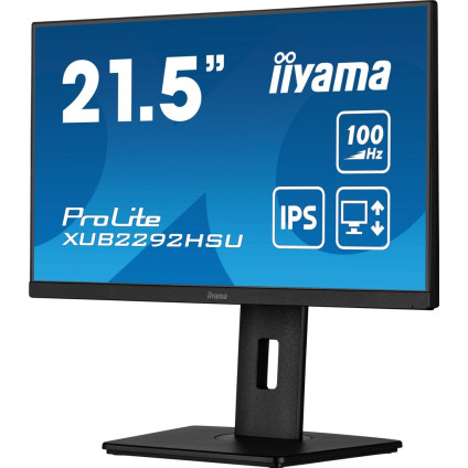 Монитор Iiyama ProLite XUB2292HSU-B6