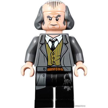 Конструктор LEGO Harry Potter 75953 Гремучая ива