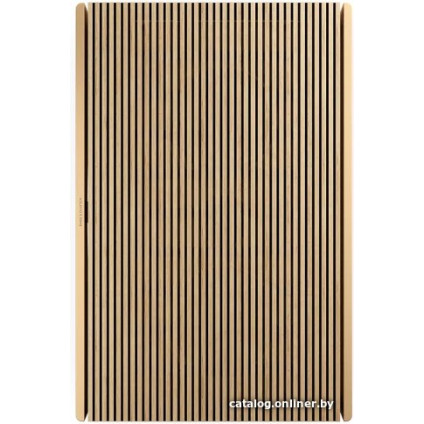 Беспроводная аудиосистема Bang & Olufsen Beosound Level (золотистый/светлый дуб)