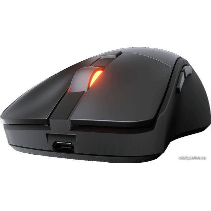 Игровая мышь Cougar Surpassion RX (черный)