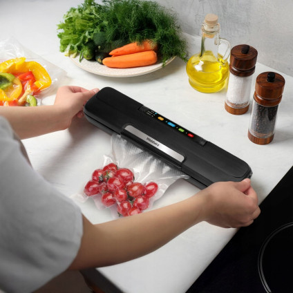 Вакуумный упаковщик Webber V168C