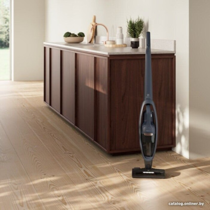 Пылесос Electrolux ES52B25WET