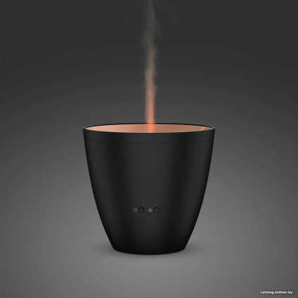 Увлажнитель воздуха Stadler Form Zoe (черный)