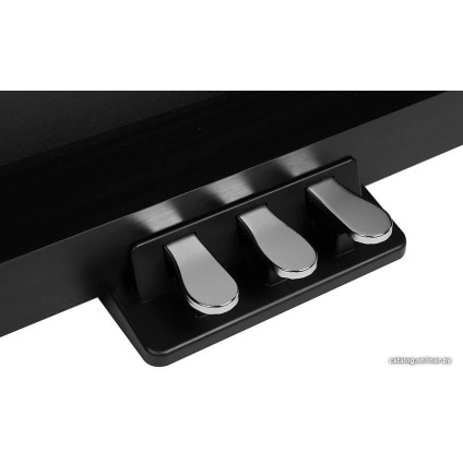 Цифровое пианино Medeli DP280K (черный)