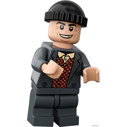 Конструктор LEGO Ideas 21330 Один дома