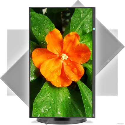 Монитор NEC MultiSync E271N-BK