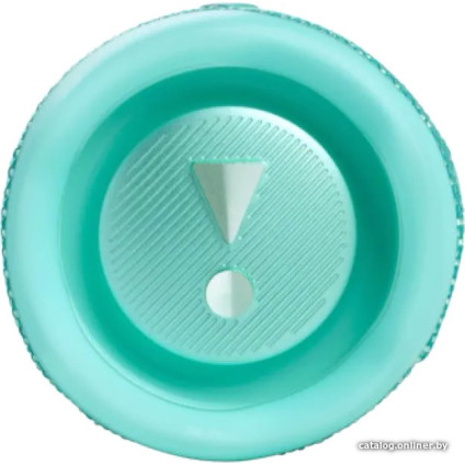 Беспроводная колонка JBL Flip 6 (бирюзовый)