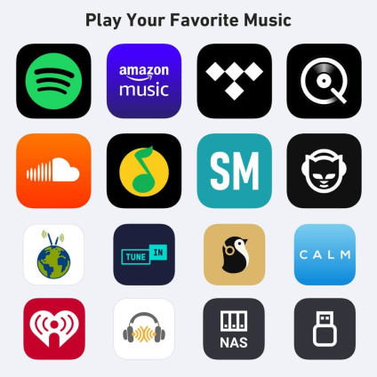Сетевой интегральный усилитель Arylic H50