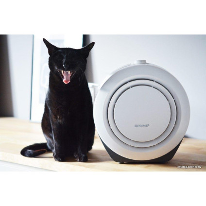 Очиститель воздуха Prime3 SAP21