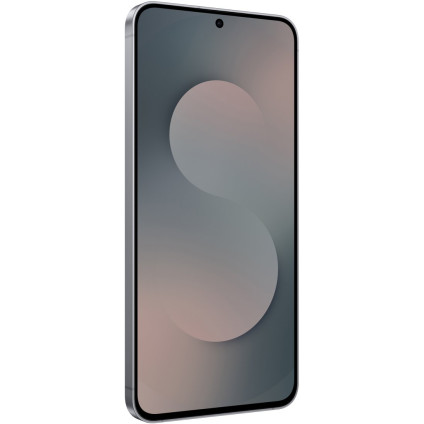 Телефон Samsung Galaxy S25 FE SM-S731B 8GB/256GB (черный)