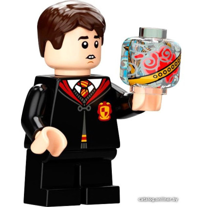 Конструктор LEGO Harry Potter 76395 Хогвартс: первый урок полетов