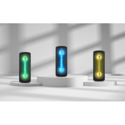 Беспроводная колонка JVC XS-E423 (черный)