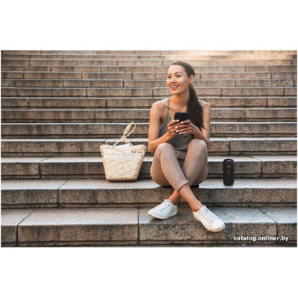 Беспроводная колонка Buxton BBS 5500 (черный)