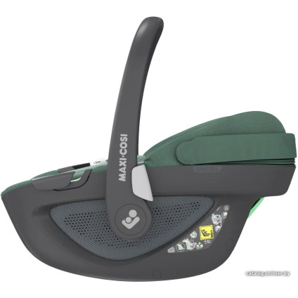 Детское автокресло Maxi-Cosi Pebble 360 (essential green)