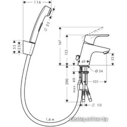Смеситель с лейкой для биде Hansgrohe Focus E2 (31926 000)