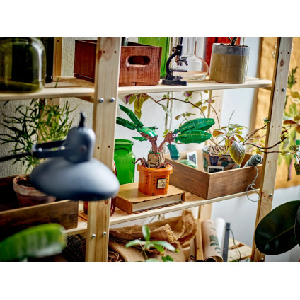 Конструктор LEGO Harry Potter 76433 Мандрагора