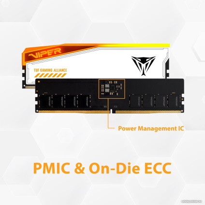 Оперативная память Patriot Viper Elite 5 RGB TUF Gaming Alliance 2x16ГБ DDR5 6000 МГц PVER532G60C36KT