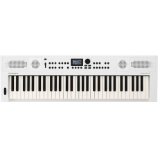 Синтезатор Roland Go:Keys 5 (белый)
