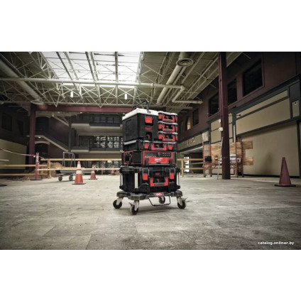 Кейс Milwaukee Packout Hardcooler 4932471722